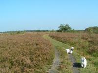 Klik op de foto voor groter formaat